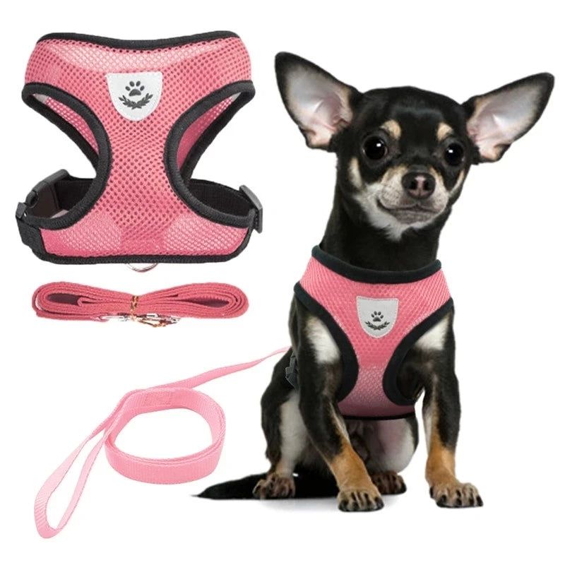 Dog Harness for Small Dogs Cats Adjustable Pet Harness And Leash Set Breathable Vest for Pug Chihuahua Bulldog Dog Accessories